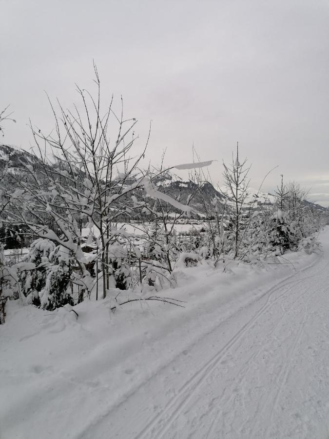 Ferienwohnungen Vordergriess Hochfilzen Esterno foto