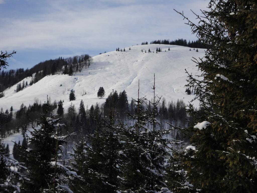 Ferienwohnungen Vordergriess Hochfilzen Esterno foto